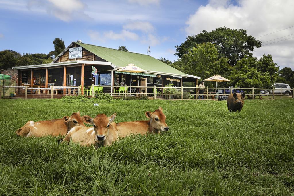The Crags Natures Way Farm Cottage מראה חיצוני תמונה